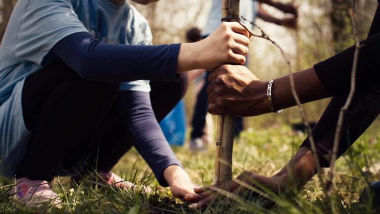 Child and her friend are planting a small tree in the woods
