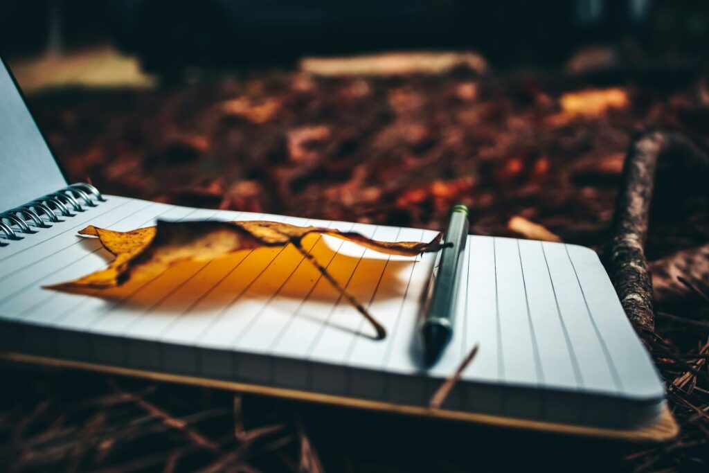 Photo of a journal and pen laying on winter leaves